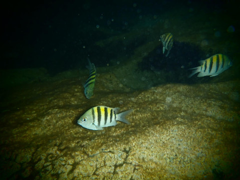 Nativo Tours-图伦必去景点