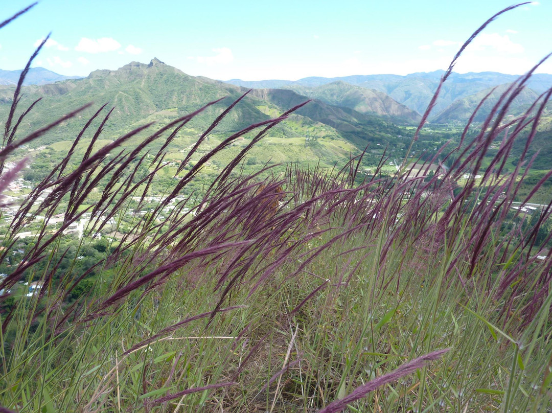 Scott's Adventure Tours-Vilcabamba必去景点