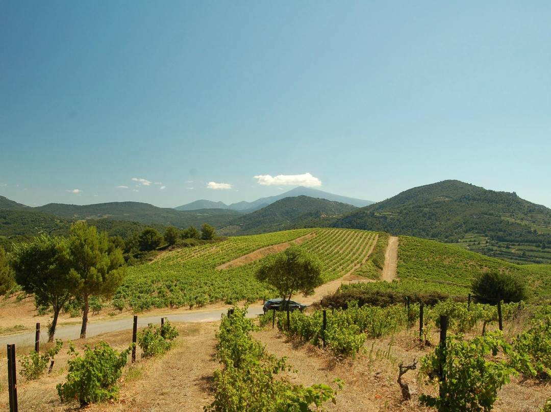 Domaine de Coyeux景点图片