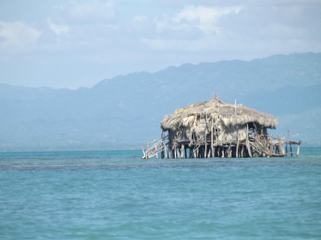Captain Dennis Boat Tours-瑰宝滩必去景点