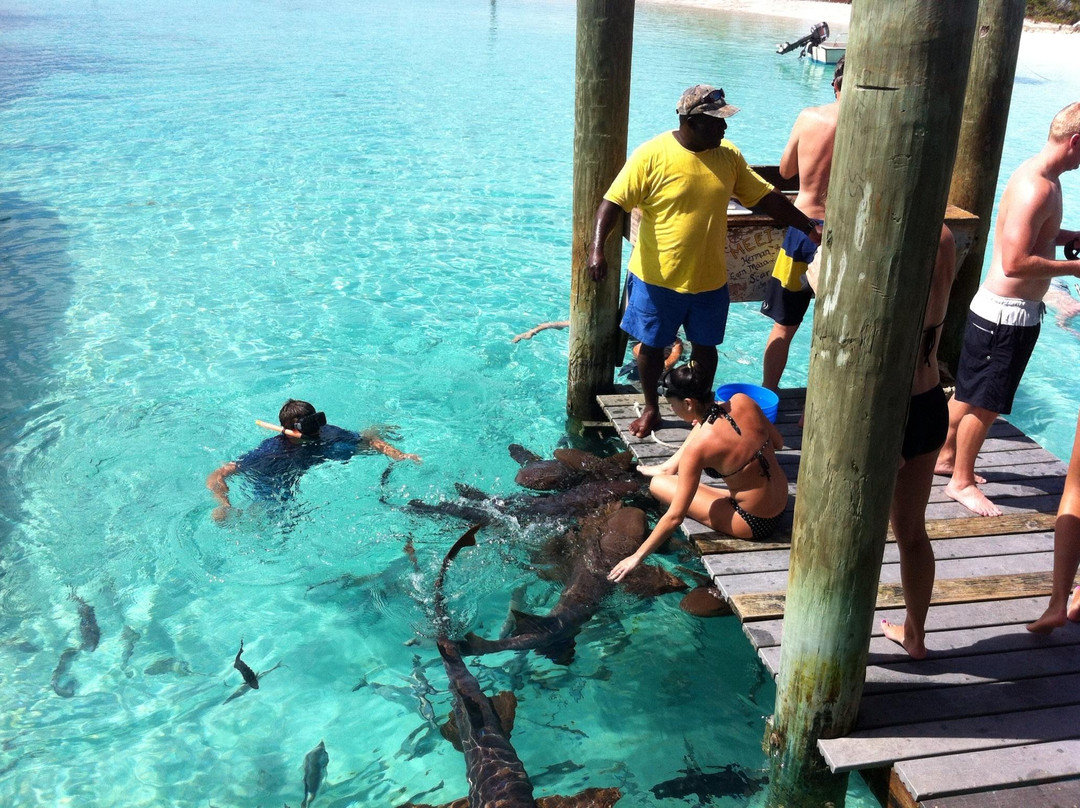 Exuma Water Tours - Four C’s Adventures景点图片