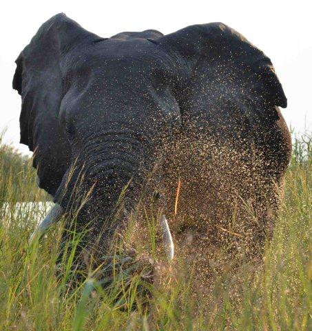 卡萨尼酒店住宿-The Old House