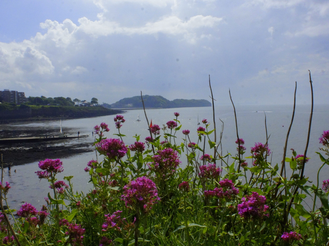 Clevedon Pier and Heritage Centre-克利夫登必去景点