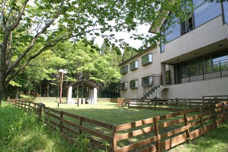 Dog Palace Resort Aso Otohime