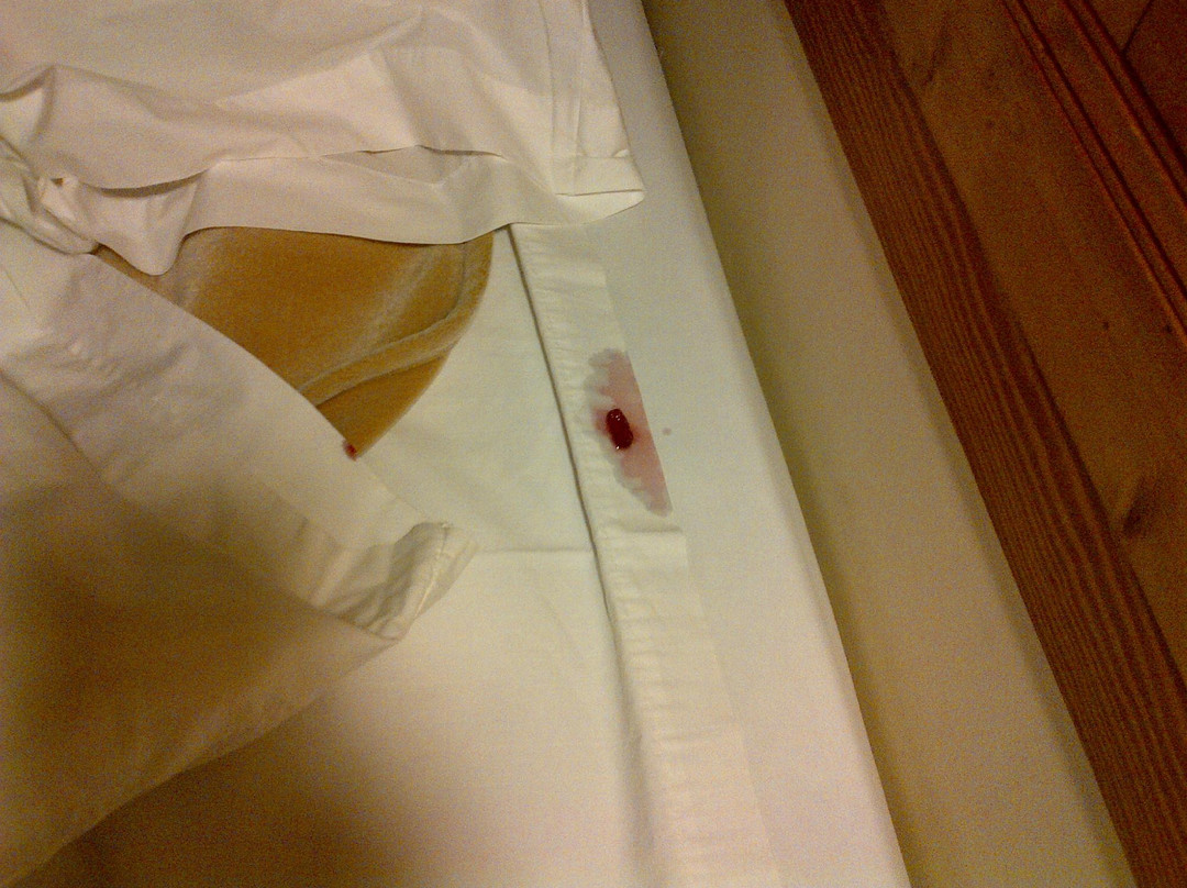 Adirondack Inn主图