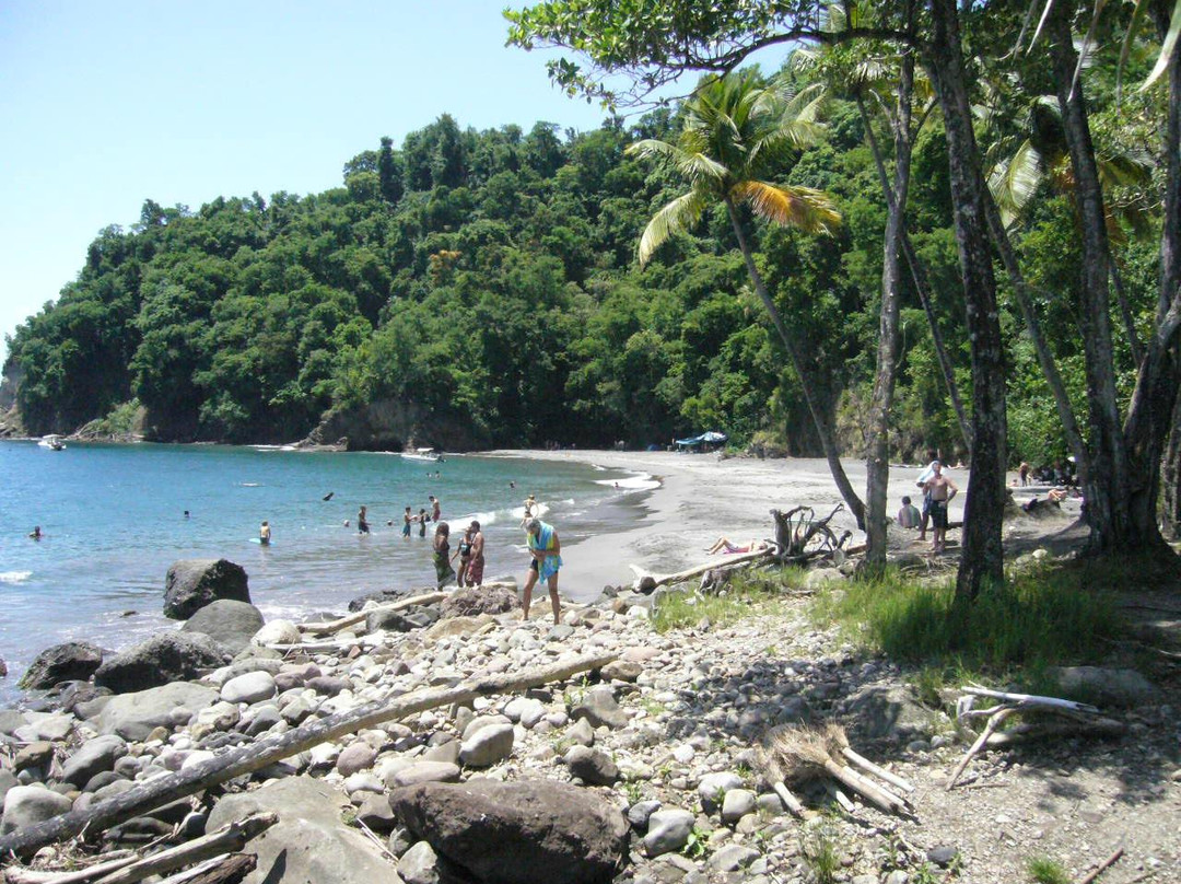 Habitation Anse-Couleuvre主图