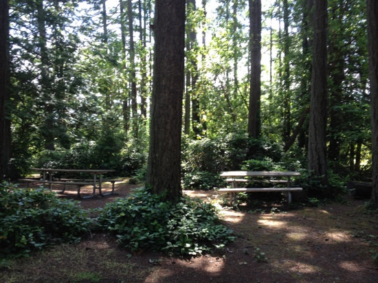 Battle Point Park景点图片