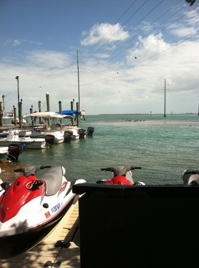 Robbie's of Islamorada-伊斯拉摩拉达必去景点