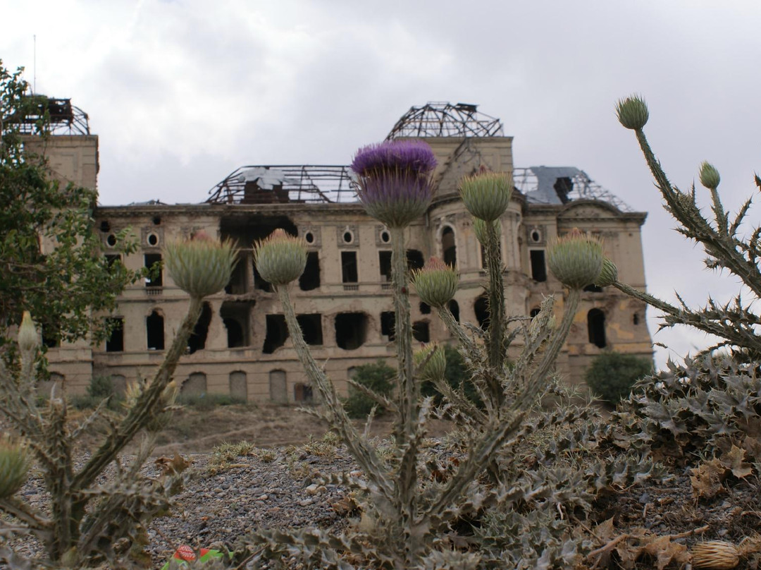 Darul Aman Palace-Kabul必去景点
