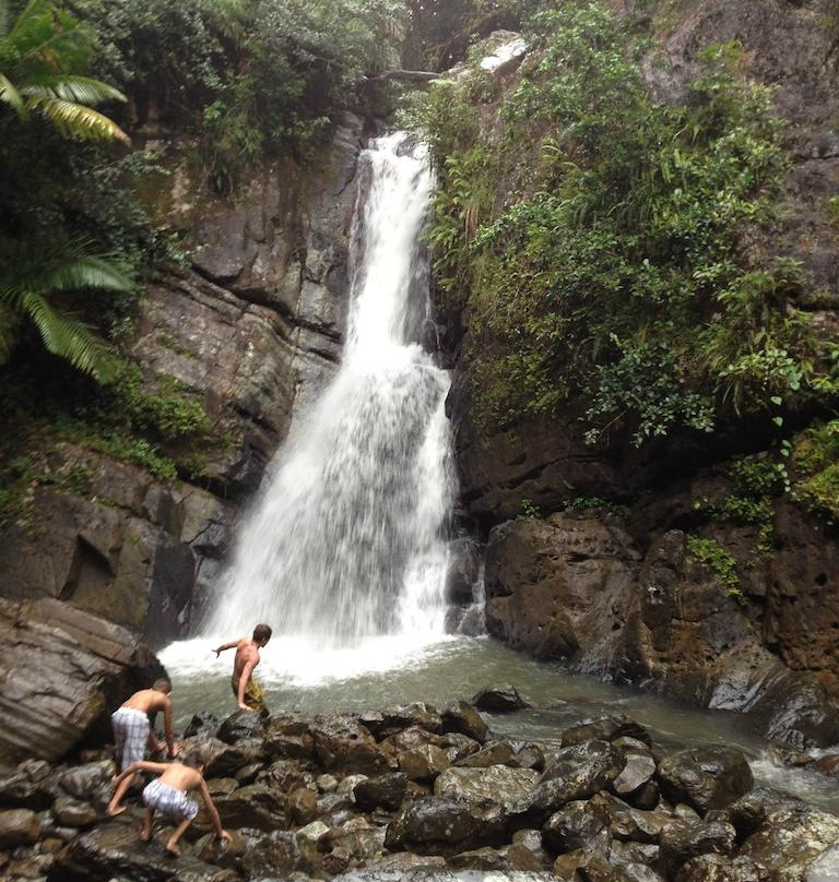 The Mine Trail (La Mina)-云盖国家森林公园必去景点