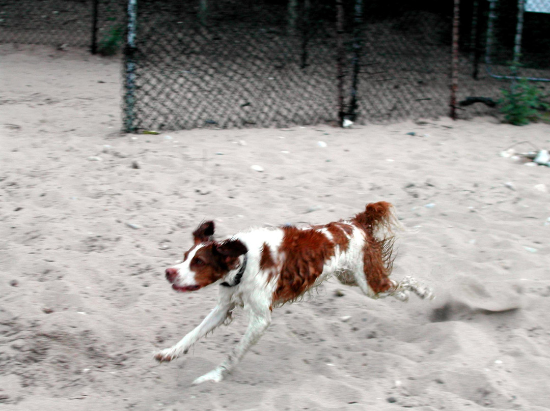 Moraine Park-Highland Park必去景点