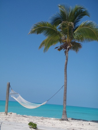 Hawk's Nest Resort and Marina主图