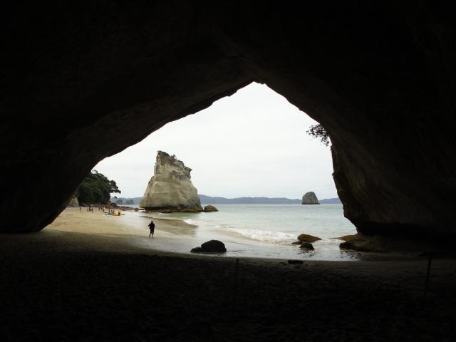 Cathedral Cove Macadamias景点图片