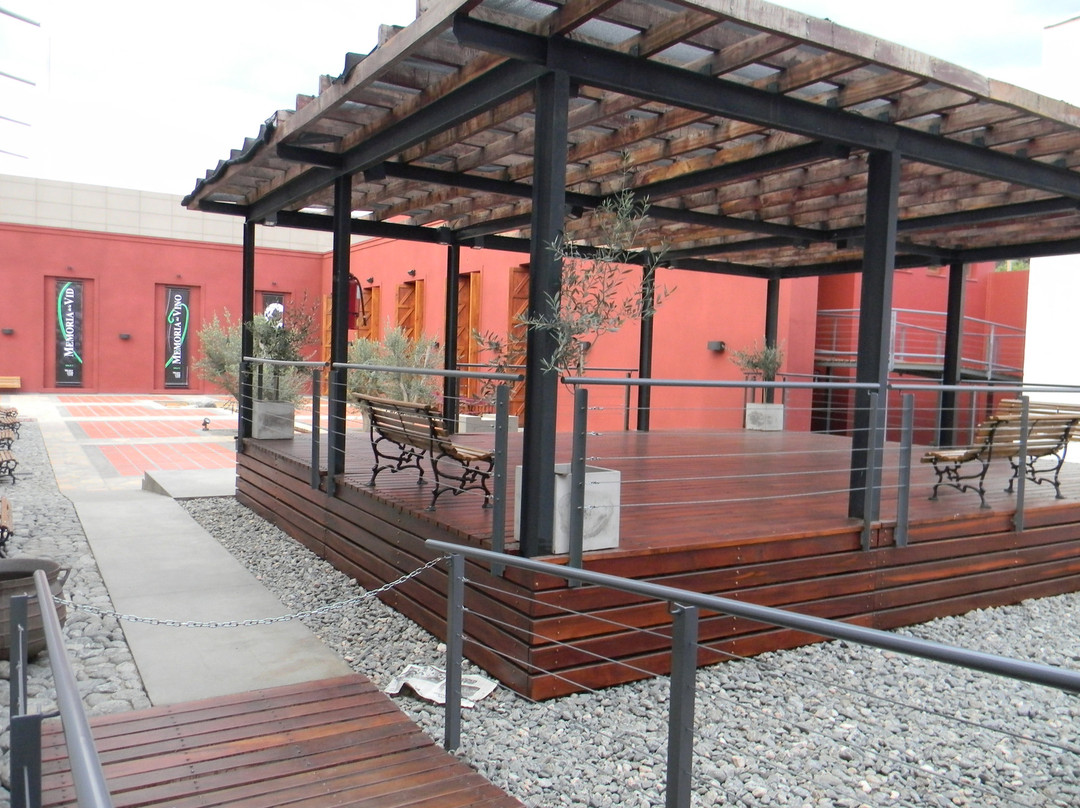 Museo de la Vid y el Vino景点图片