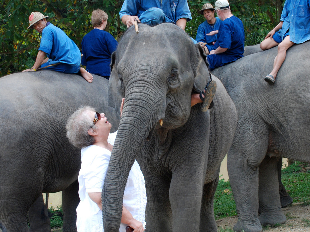 Thai Elephant Conservation Center-南邦必去景点