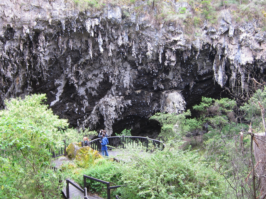 Lake Cave景点图片
