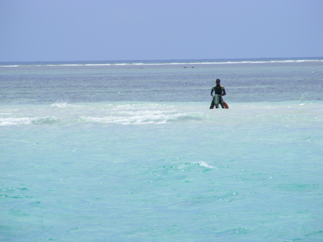 Kinazini Funzi Dhow Day Safari-Kwale必去景点