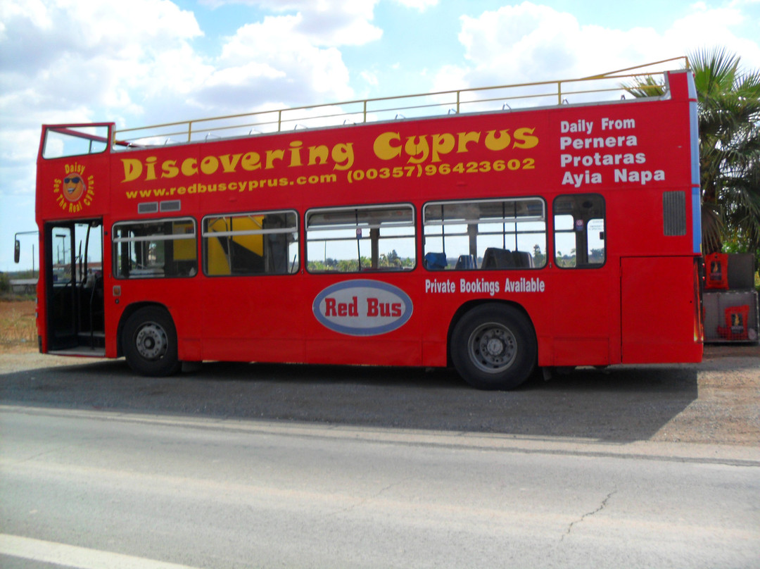 The Original Red Bus-阿依纳帕必去景点