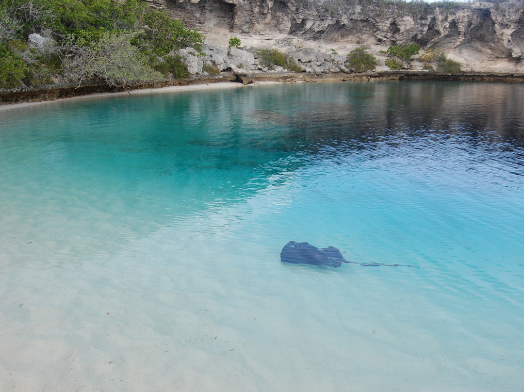 Dean's Blue Hole-Clarence Town必去景点
