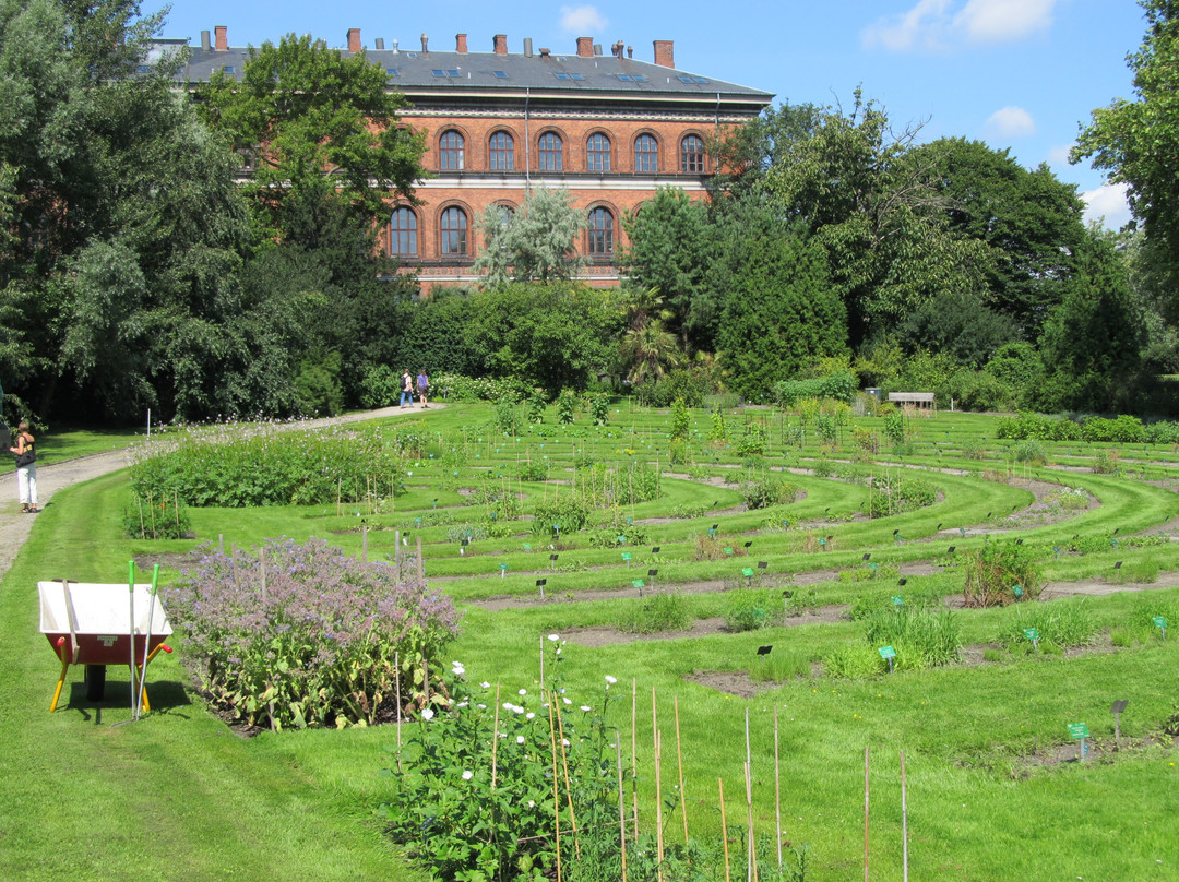 Botanical Garden-哥本哈根必去景点