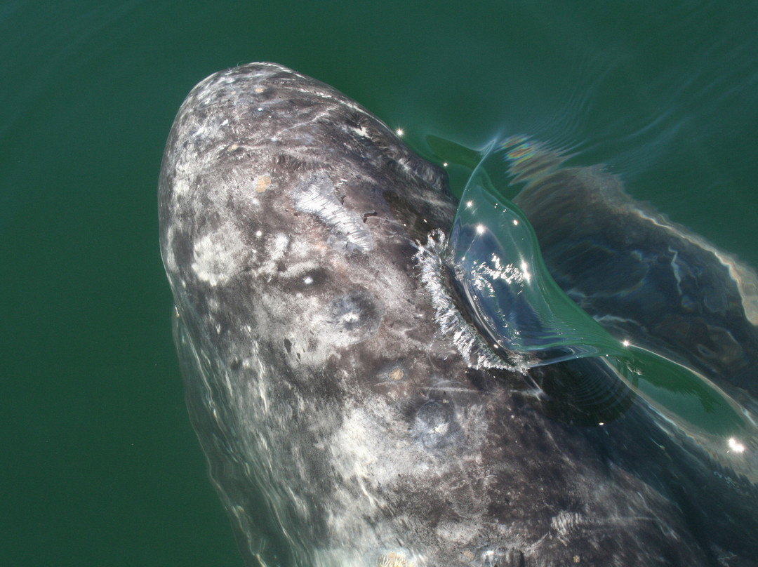 Ecoturismo Kuyima-San Ignacio必去景点