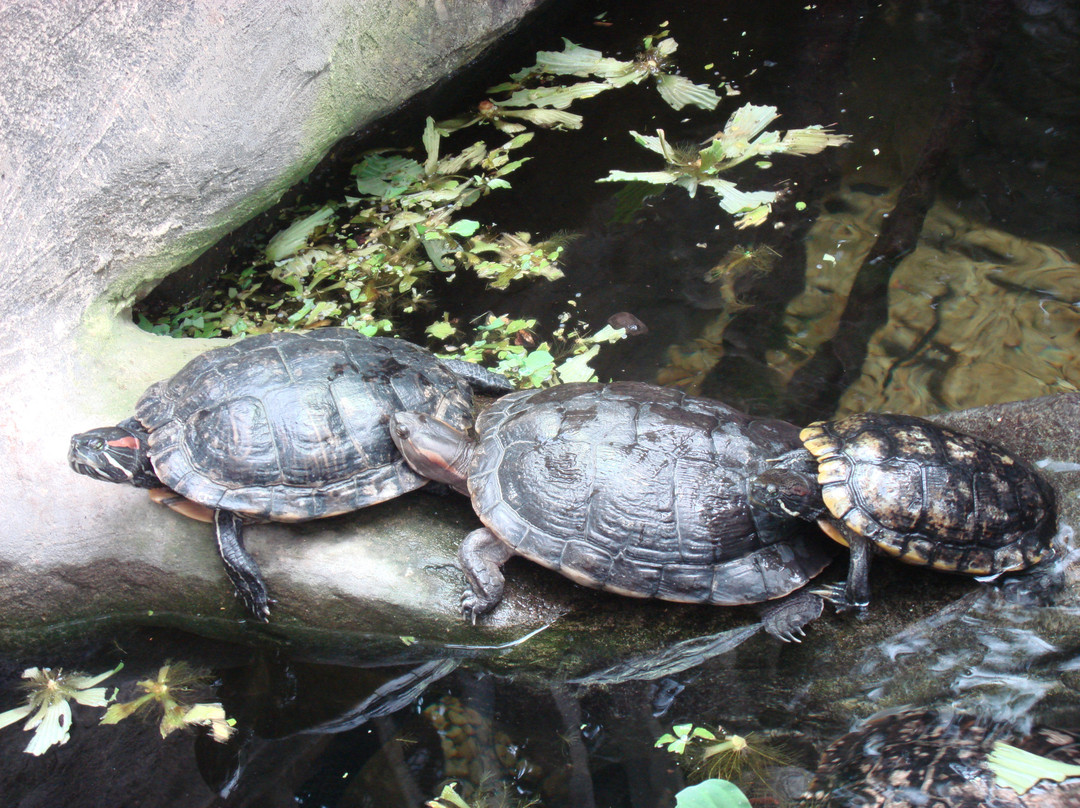 The Living Rainforest-纽伯里必去景点