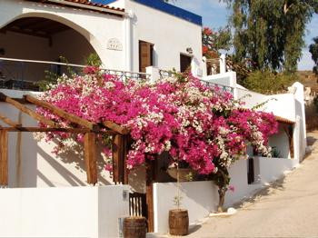 Villa Abela and Inn Rooms to Let