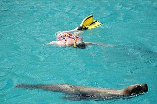 Curaçao Sea Aquarium-威廉斯塔德必去景点