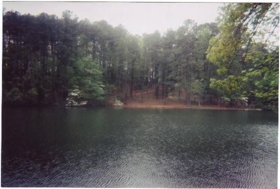 Aldridge Gardens-Hoover必去景点