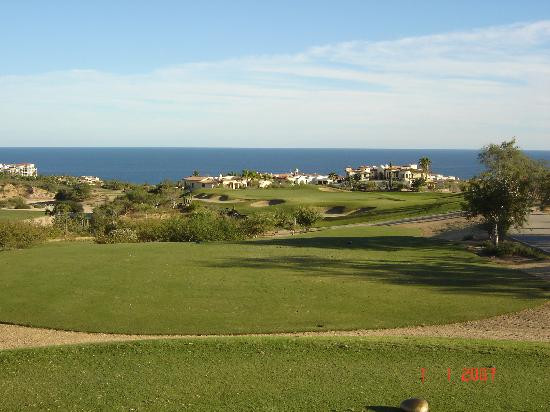 Desert Course at Cabo del Sol-洛斯卡布斯必去景点