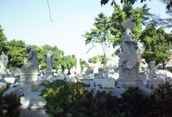 Christopher Columbus Cemetery (Cemetario de Colon)景点图片