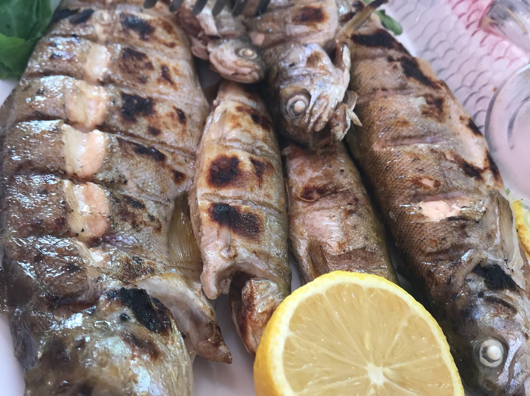 Tushemisht餐馆和美食-Vila 31