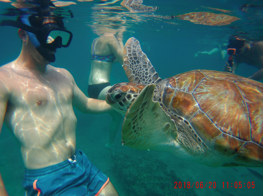 Barbados Snorkeling Tours by Hayden Browne-Holetown必去景点