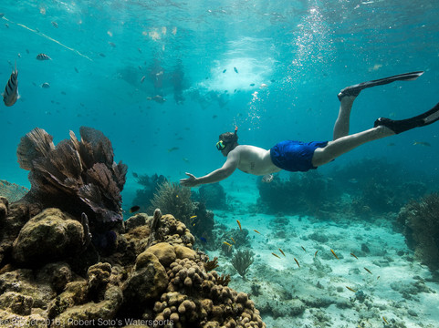 Robert Soto's Watersports-乔治城必去景点