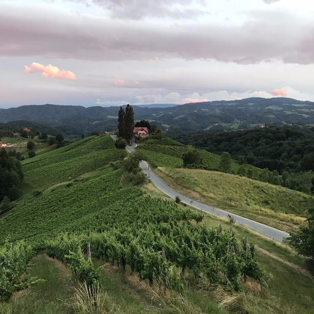 Weingut Puschnig-酒店景观