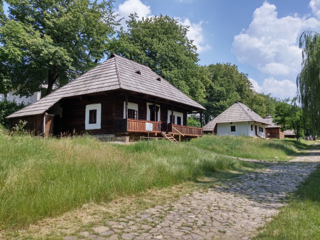 Bucovina Village Museum景点图片