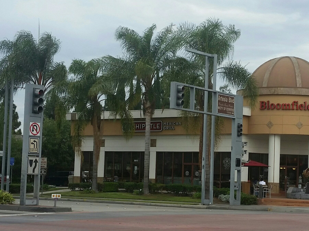 Chipotle Mexican Grill