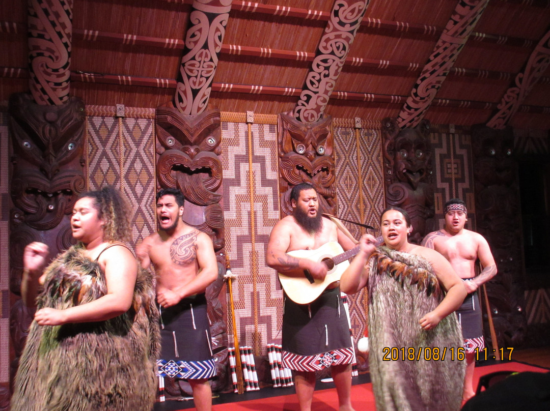 Waitangi National Trust & Treaty House景点图片