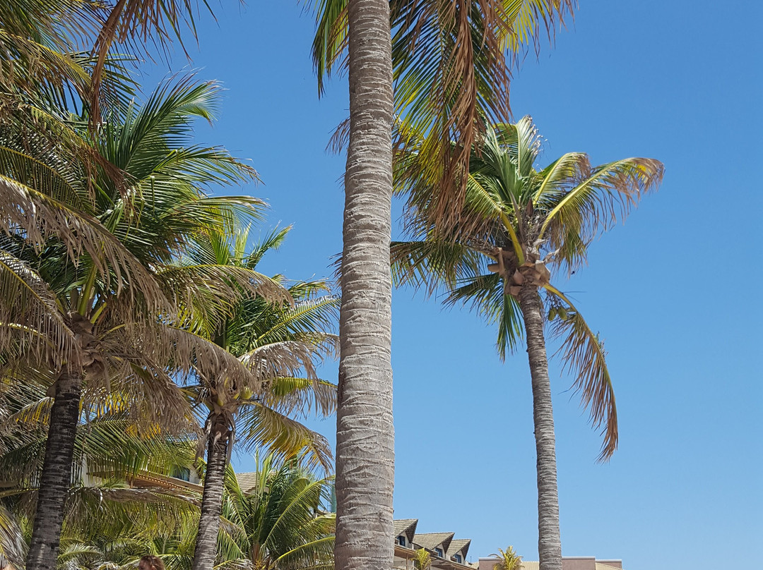 Vila Coqueiros主图