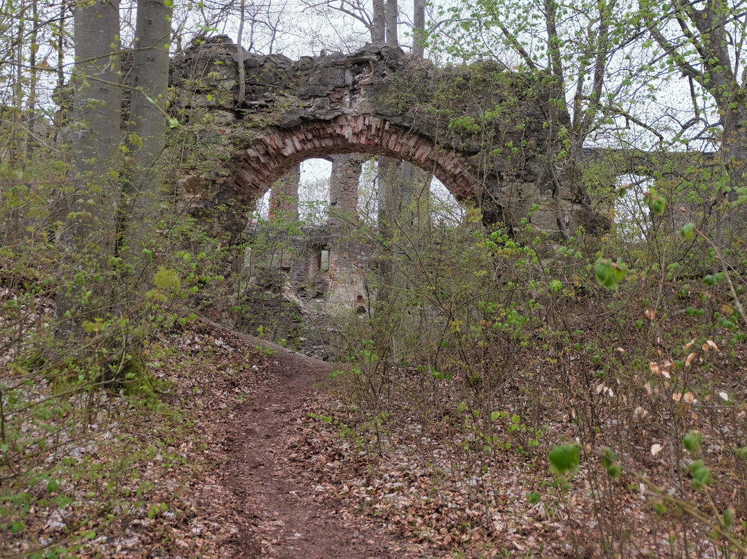 Castle Ruins Hochhaus-Ederheim必去景点