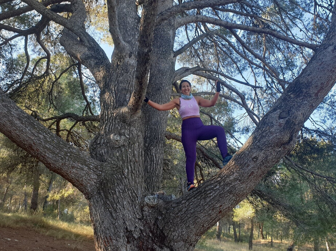 Pino Gordo-Alhama de Murcia必去景点