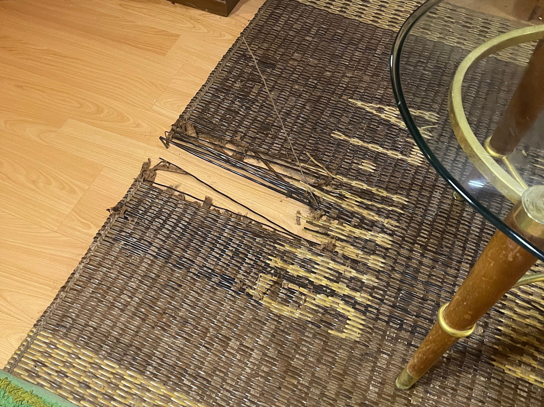 莎丽拉岛度假村主图