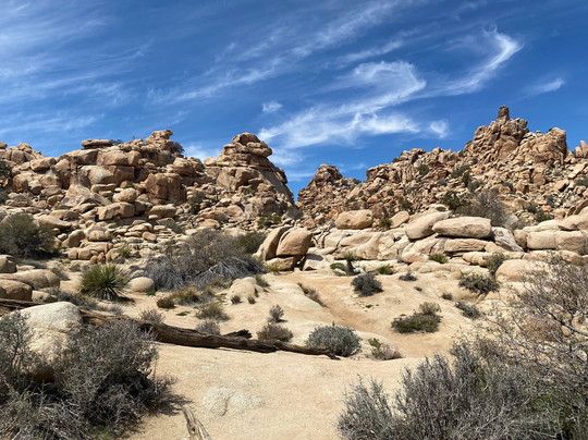 吉普车沙漠之旅-棕榈沙漠必去景点