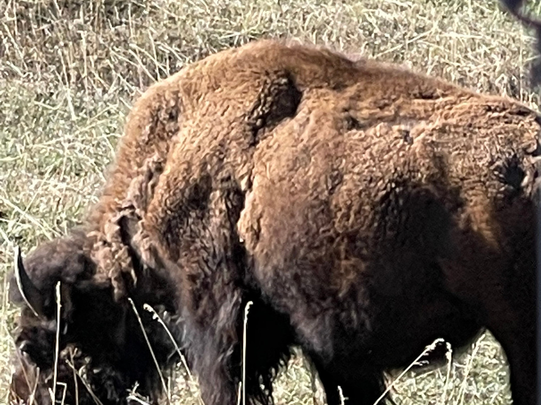 Aspire Tours-丹佛必去景点