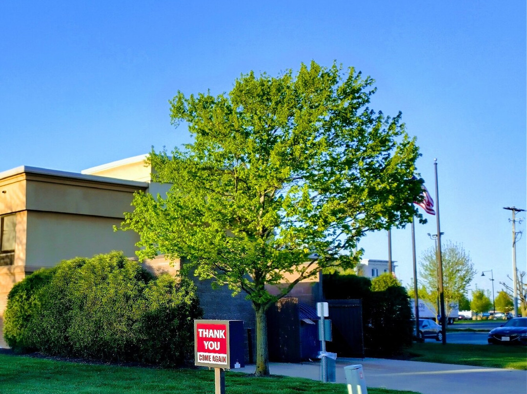 Hampton Inn Columbus-South主图