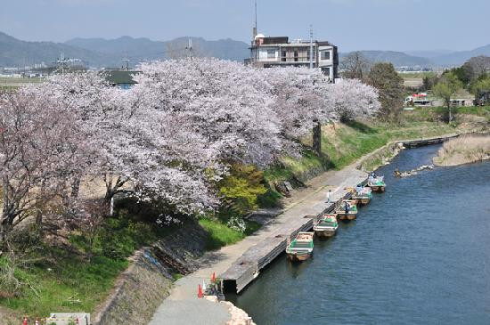 Hozugawa River Boat Ride-龟冈市必去景点
