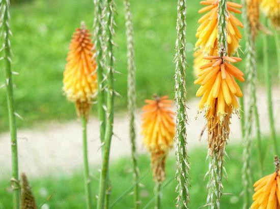 Botanischer Garten (Botanical Garden of the University of Vienna)-维也纳必去景点