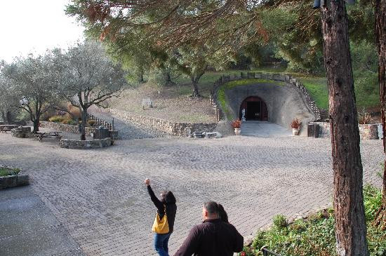 Gundlach Bundschu Winery景点图片