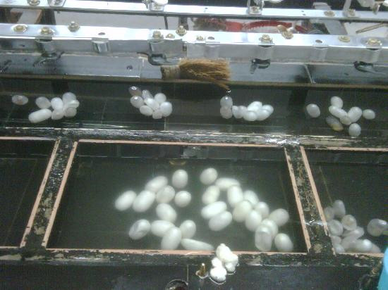 苏州丝绸博物馆-苏州市必去景点