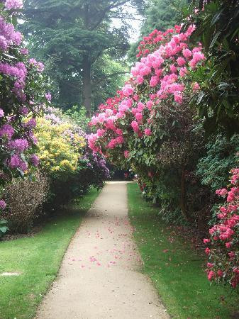 Hare Hill Park And Gardens-Over Alderley必去景点